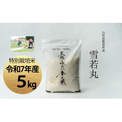 ふるさと納税 飯豊町 【令和7年産】至福の味わい、幸せ米。「雪若丸」精米 5kg