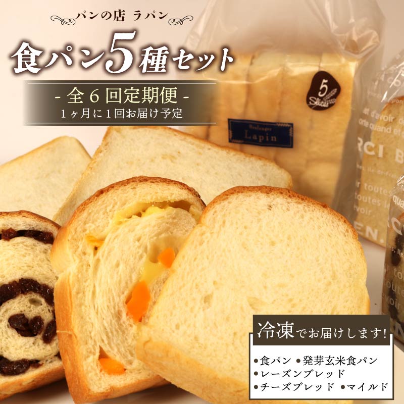 【ふるさと納税】 全6回定期便 食パン 5種セット パン詰め合わせ 発芽玄米 レーズン チーズ マイルド 朝食 美味しい パンセット 冷凍 国産小麦 ベーカリー おいしい ぱん もちもち ふわふわ 朝ごはん 贈り物 贈答 ギフト 定期便 藤枝市 静岡県