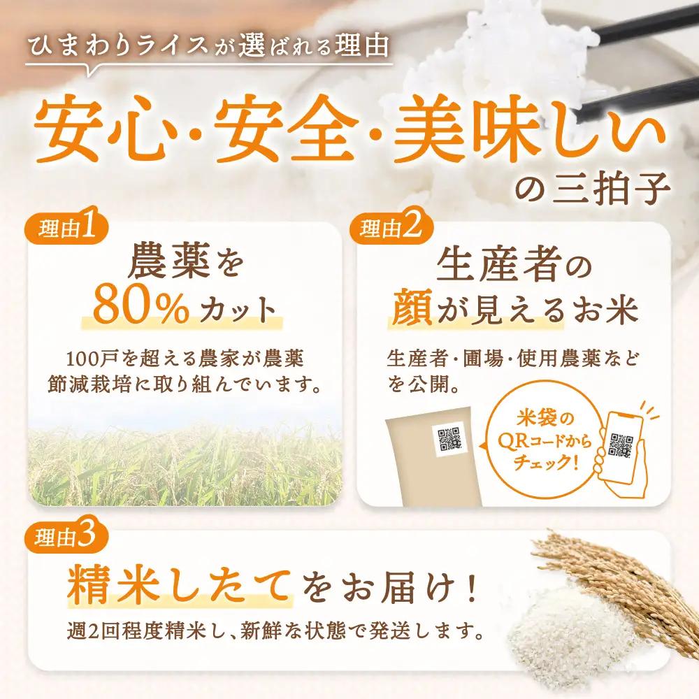 令和8年産 食べ比べ 少量 セット 8kg (2kg×4種) / ゆめぴりか ななつぼし おぼろづき きたくりん 【sun400-set-all-r2-R8】