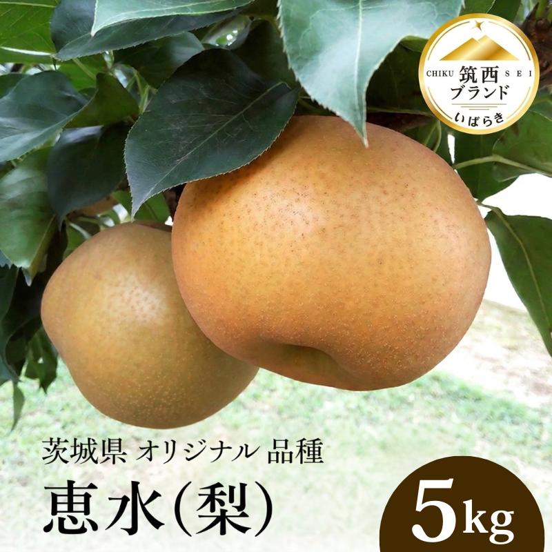 【ふるさと納税】【 JA 北つくば 】 筑西ブランド 認証品 恵水 5kg 2026年産 先行予約 梨 特選品 特選 果物 フルーツ なし ナシ 赤梨 贈り物 贈答 贈答用