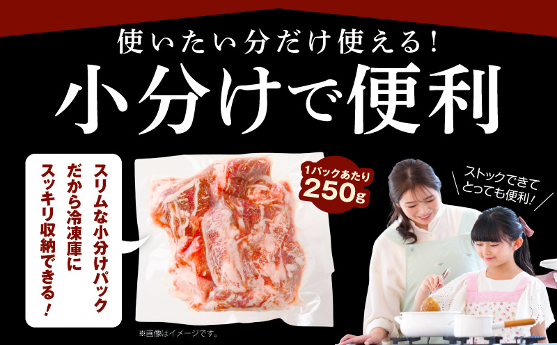 【A4ランク以上】黒毛和牛 サーロイン 切り落とし 1kg【250g×4P 小分け 国産 味付き 牛肉 訳あり サイズ不揃い】 CFX0073