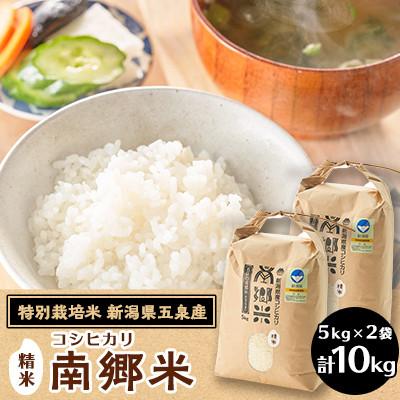 ふるさと納税 五泉市 【毎月定期便】[12回定期便]特別栽培米コシヒカリ100%「南郷米」精米 10kg全12回