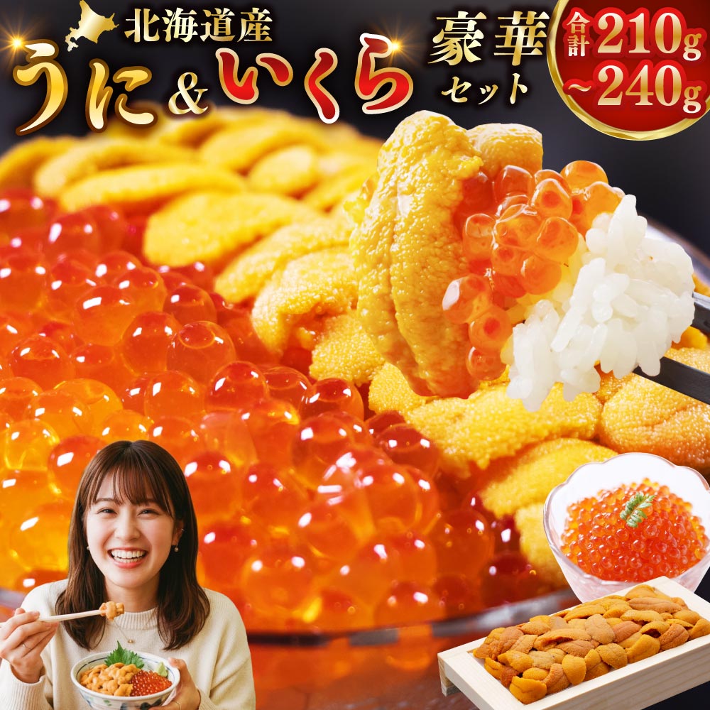 えぞバフンうに折150g×1 いくら醤油漬け150g×1 北海道 釧路 ふるさと納税 うに いくら 雲丹 魚卵 魚介類 海産物 セット 詰合せ 詰め合わせ