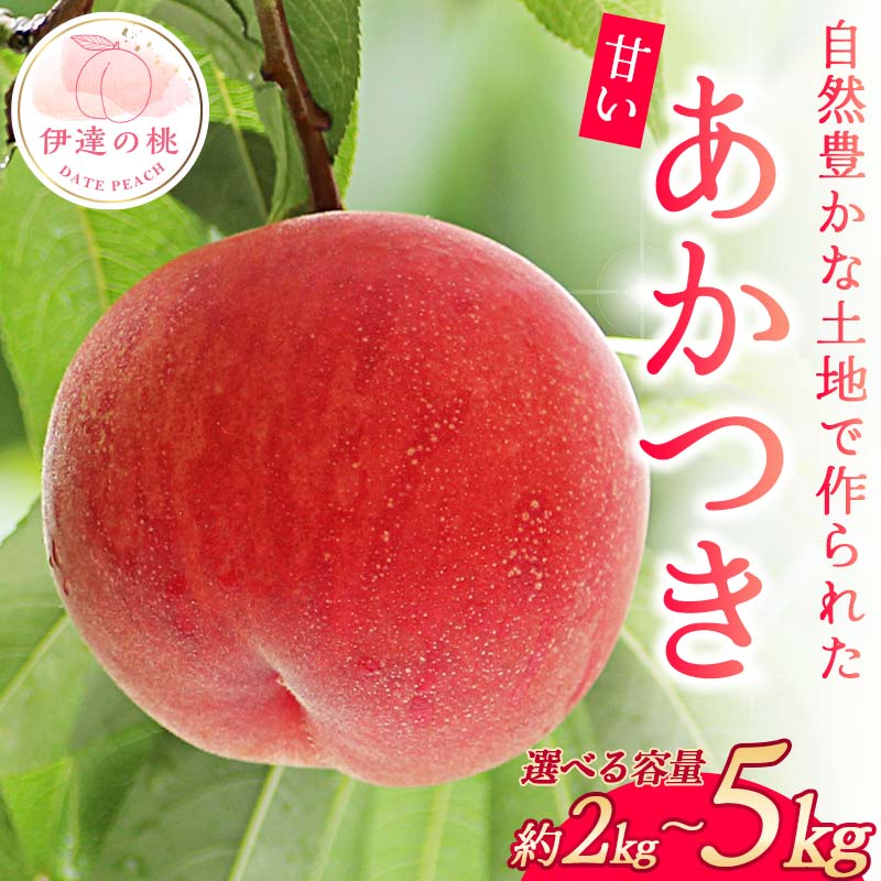 【ふるさと納税】＼選べる容量／【2026年出荷分先行予約】福島県産 あかつき 約2kg 約3kg 約5kg 玉数はおまかせ はこざきフルーツ 伊達の桃 桃 フルーツ 果物 もも モモ momo F21C-422var