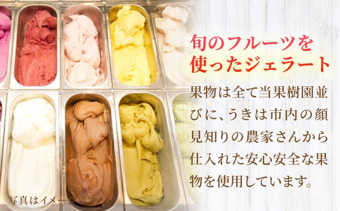 【4回定期便】果樹園が作る 素材の味を楽しめる 旬のジェラート 120ml×6個セット【ソルベッチdoうきは】着色料不使用 ノンホモ牛乳使用 ジェラート アイス 旬 スイーツ 詰め合わせ セット シャ