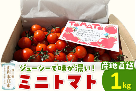 《先行受付》8月上旬～9月下旬発送 ミニトマト 1kg 秋田県 由利本荘市