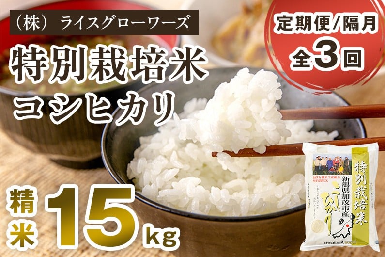 
                  【令和7年産】【定期便3回隔月お届け】特別栽培米 コシヒカリ 精米 15kg（5kg×3）《順次出荷》  白米 従来品種コシヒカリ （株）ライスグローワーズ 新潟県 加茂市産 白米 米 お米 定期便
                