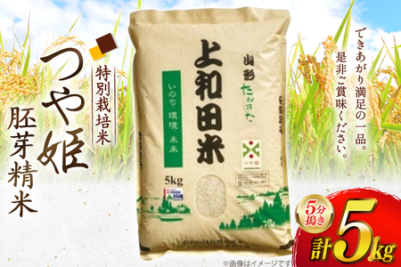 米 令和7年度 特別栽培米 つや姫 胚芽精米 5分搗き米 5kg [上和田有機米生産組合 山形県 高畠町 tk06ays640014] お米 ブランド米 ごはん ご飯 おこめ 5キロ つやひめ 令和7