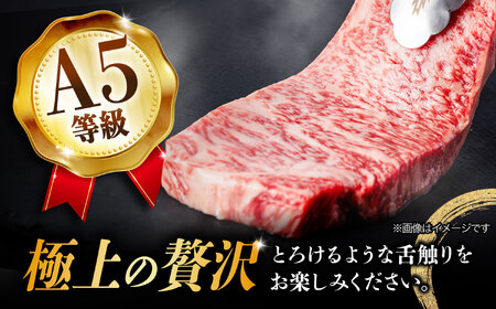 【1月発送】【飛騨牛】 A5等級 サーロイン ステーキ用 3枚 (計750g) 和牛 ブランド牛 国産 牛肉 多治見市 / 渡辺精肉店 [TAZ001-1]