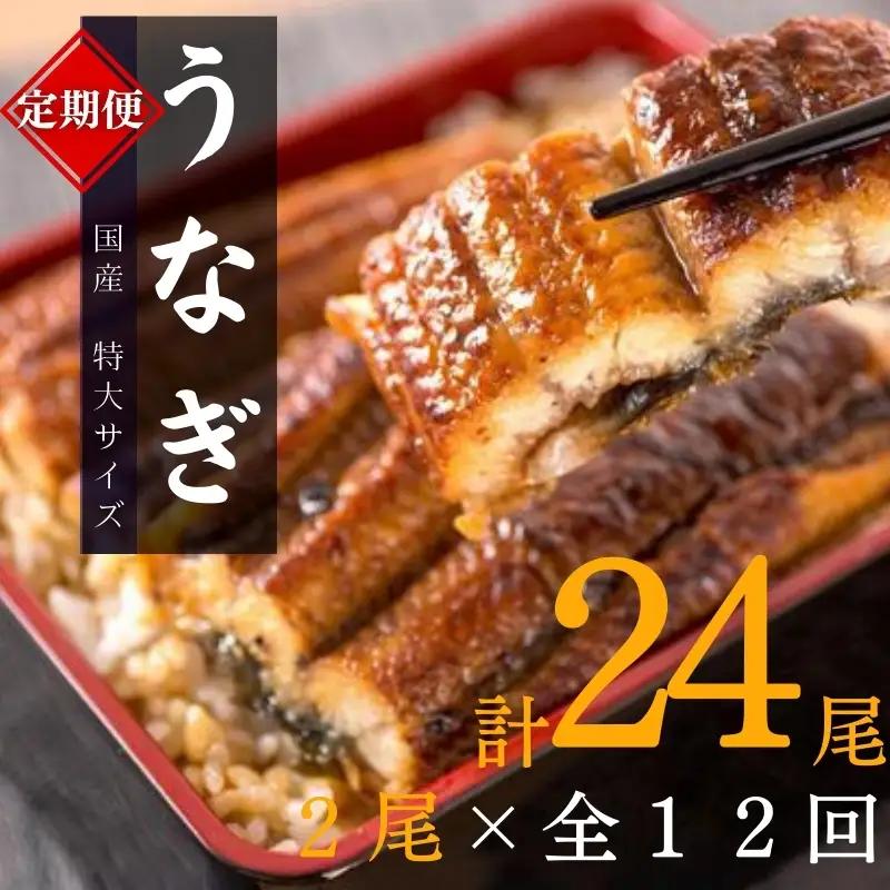 【12回定期便】大型国産うなぎ蒲焼き 計24尾 鰻【tkb311】