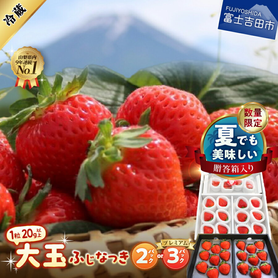 【ふるさと納税】 夏いちご 2026年発送 イチゴ ふじなつき 選べる内容量 2パック 3パック 大玉 フルーツ くだもの 果物 いちご 糖度15度以上 苺 富士夏媛 プレミアム セット 贈答箱入り ギフト 贈り物 冷蔵発送 【期間限定・数量限定】 富士吉田市