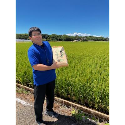 ふるさと納税 玉名市 熊本県玉名市産 ひのひかり10kg |  | 01
