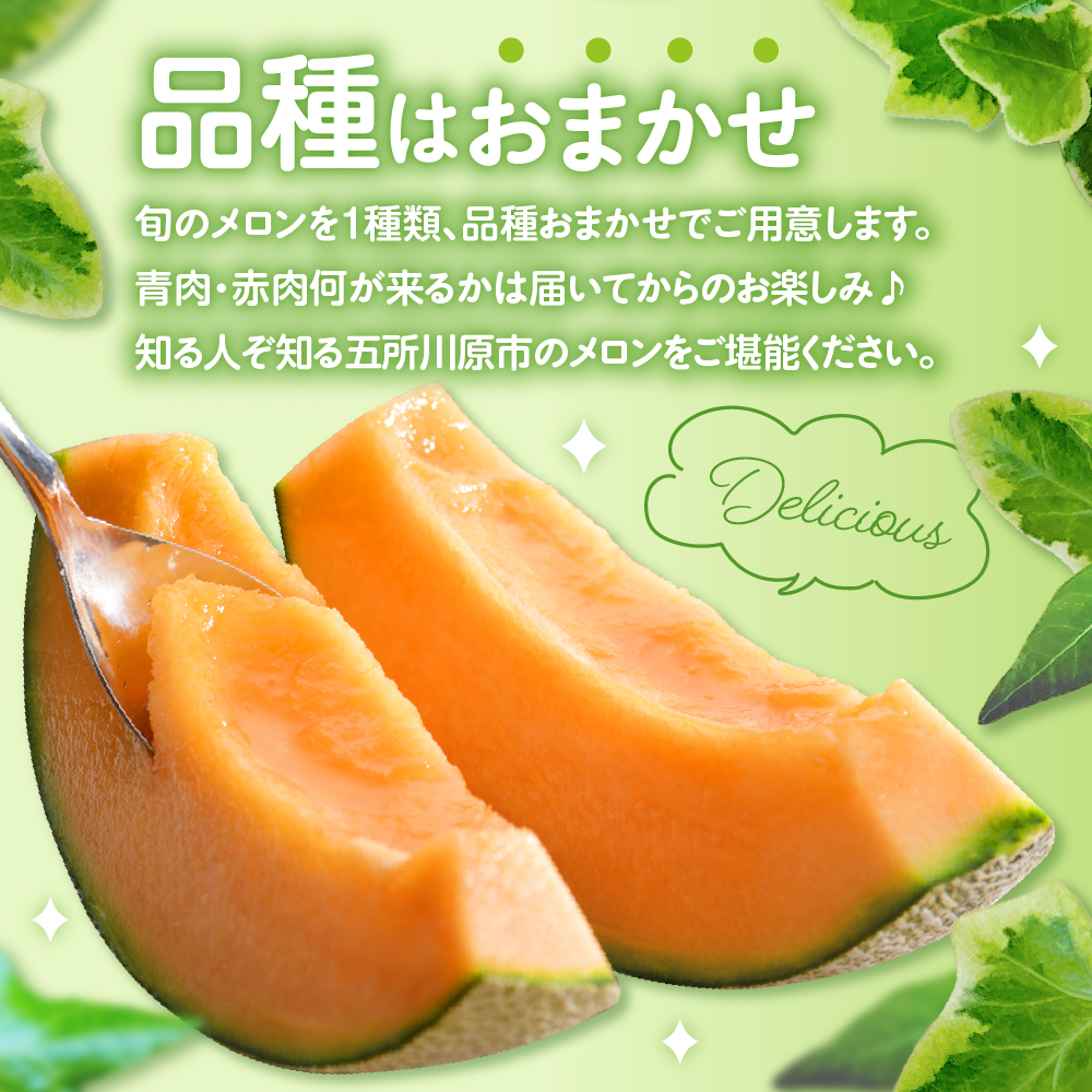 【2026年8月中旬発送】メロン2玉入り 大玉 贈答規格 青森メロン 津軽産