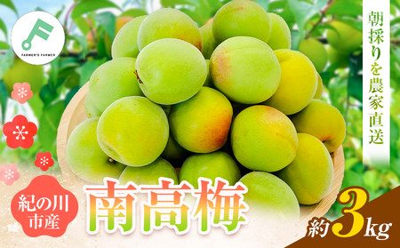 梅 紀州南高梅 3kg FARMER'S FARMER《6月上旬-7月中旬頃出荷》和歌山県 紀の川市 うめ 南高梅 青梅 紀の川市産