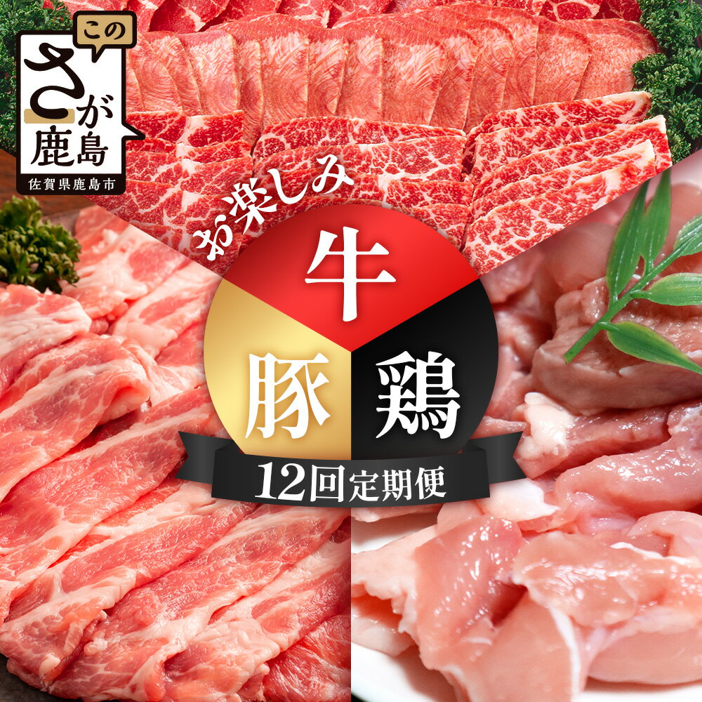 【ふるさと納税】合計23.9kg 定期便 12回 佐賀の牛・豚・鶏 お楽しみ定期便 V-78 九州 国産 しゃぶしゃぶ すきやき すき焼き 焼肉 焼き肉 ソテー 焼き鳥 焼鳥 からあげ 唐揚げ から揚げ 定期便 12ヵ月 12か月 12ヶ月 肩ロース ウデ モモ もも しゃぶしゃぶ 鳥肉 とりにく