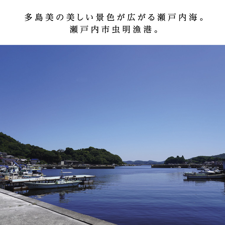 あなご 先行予約 山銀商店 かば焼き あなご (合計約300g)  産地直送 穴子 魚介類