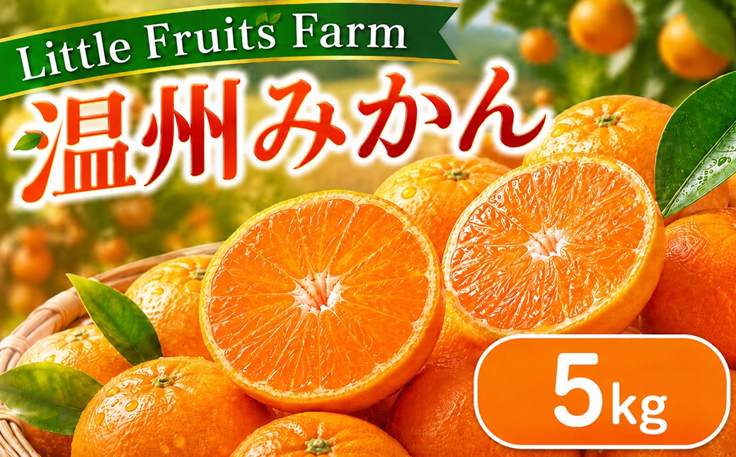 
                  【訳あり品】リトルフルーツファームの温州みかん 約5kg ／ ミカン みかん 蜜柑 柑橘類 訳あり 先行予約 5kg 温州みかん フルーツ 果物 ＜116-022＞
                