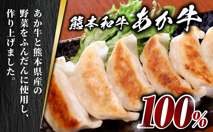 【数量限定】【全12回定期便】熊本和牛 あか牛ぎょうざ 20個×2箱【有限会社 三協畜産】 餃子 ぎょうざ ギョウザ 熊本和牛 和牛 牛  [ZEB092]