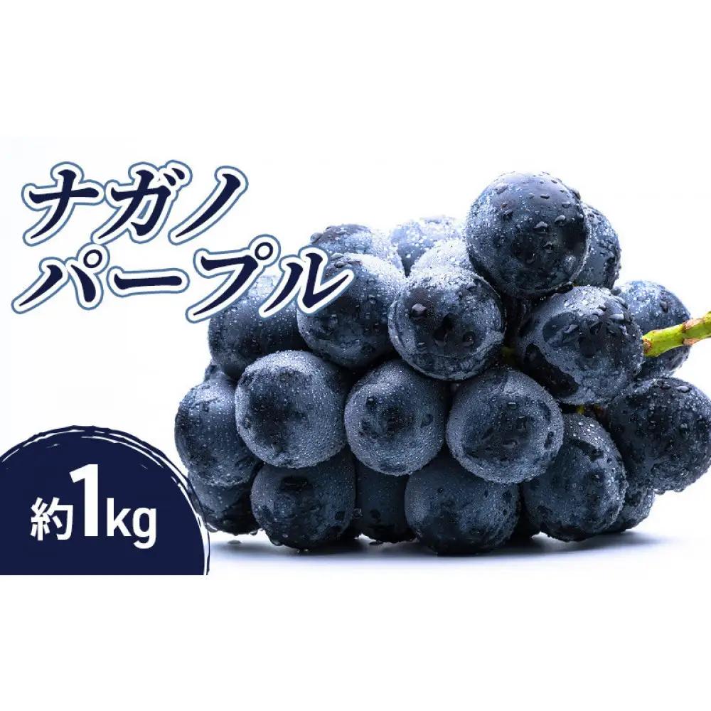 小松農園　2026年産先行予約ナガノパープル 1kg 果物 フルーツ ぶどう 長野県 | ぶどう
