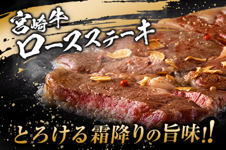 数量限定 5等級 宮崎牛 ロースステーキ 計500g 肉 牛 牛肉 ロース 黒毛和牛 国産 食品 おかず ステーキ 焼肉 BBQ 送料無料_DB22-23