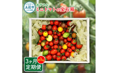 【先行予約】【全3回定期便】【先行予約】カラフルミニトマトの宝石箱 約1キロ 〈2026年12月から配送開始〉高知県 土佐市【ファーム輝】 [BQBM008]