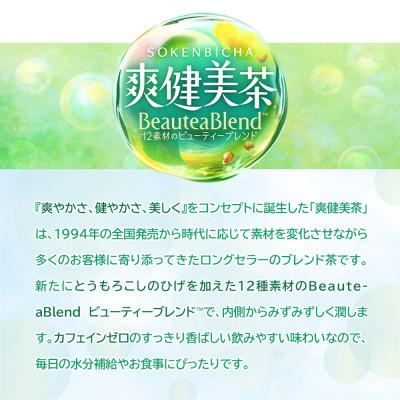 ふるさと納税 東海市 日本コカ・コーラ 爽健美茶 2L 6本 ペットボトル ケース |  | 02