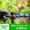 【ふるさと納税】新潟県湯沢町の対象施設で使える楽天トラベルクーポン 寄附金額10,000円【楽天】新潟県 越後湯沢 旅行券 宿泊券 宿泊補助券 旅行 トラベル クーポン チケット 金券 ホテル 旅館 リゾート 国内旅行 宿泊 観光 スキー スノーボード 苗場 全国旅行支援