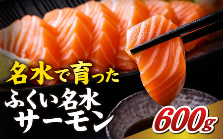 ふくい名水サーモン（小分けパック）約600ｇ[A-065058]