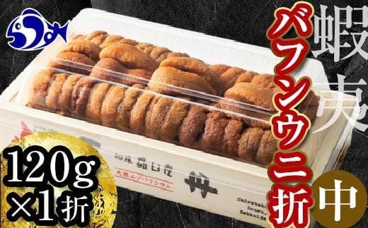 北海道知床羅臼産 天然エゾバフンうに（中）うに折  120g×1枚　2025年1月中旬から発送