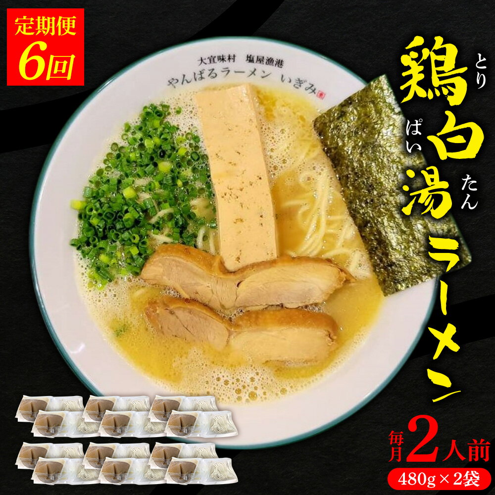 【ふるさと納税】【定期便：6回】鶏白湯ラーメン 2人前（480g×2袋） 沖縄 大宜味村 らーめん こだわり 2人前 2袋 ふるさと納税 送料無料 ご当地 お取り寄せ グルメ 人気 定期 プレゼント 自分用 パイタン ぱいたん ラーメン
