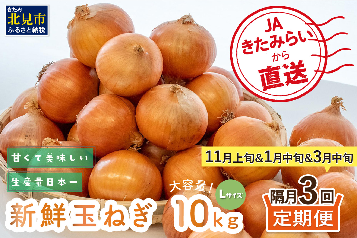 【L玉隔月定期便(11月・1月・3月)】JAきたみらいから直送する新鮮玉ねぎ 10kg(L)×3回 ( 野菜 定期便 玉葱 たまねぎ )【999-0014-2025】