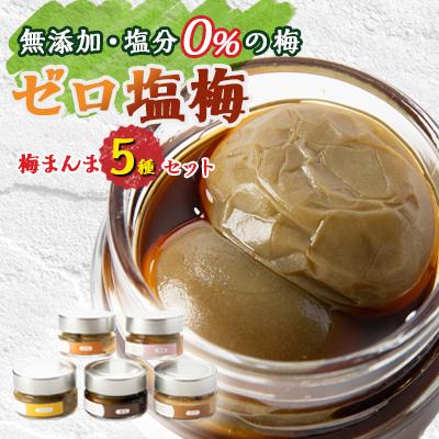 ふるさと納税 大和高田市 【特許製法!無添加・塩分0%の梅】ゼロ塩梅　梅まんま　嬉しいちょっとずつ5種類セット!
