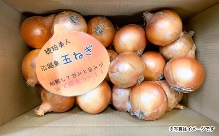 淡路島極熟玉葱　シャーロットオニオン【20kg】　玉ねぎ大国淡路島からの玉ねぎ