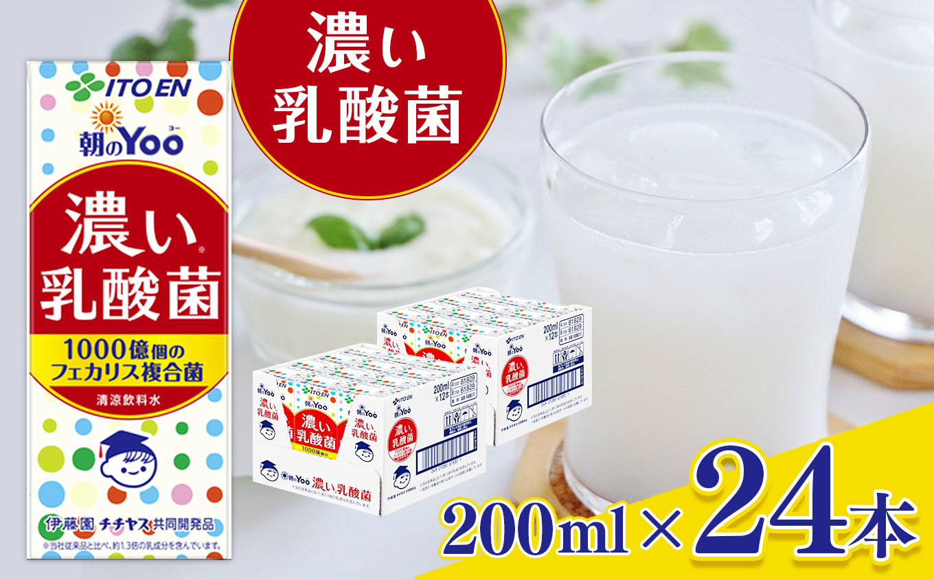 
朝のＹｏｏ濃い乳酸菌 紙パック ( 200ml × 24本 ) 伊藤園 | 飲料 ドリンク 乳酸菌 ビフィズス菌 配合 | 脂肪ゼロ 健康 人工甘味料 不使用 長野県 松本市 ふるさと納税
