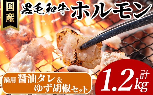 国産黒毛和牛ホルモン計1.2kg(200g×6P)&鍋用醤油タレ(濃縮タイプ：30g×1P)&ゆず胡椒(1個) 牛肉 ホルモン 【ナンチク】A997