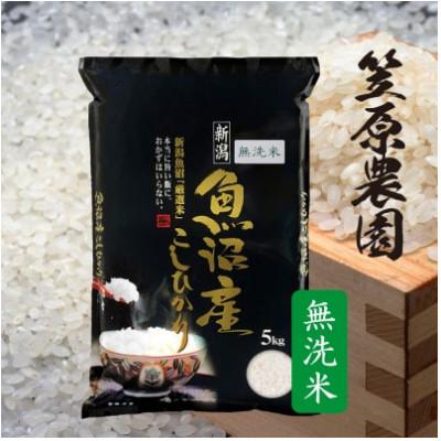 ふるさと納税 南魚沼市 令和7年産　南魚沼産コシヒカリ無洗米5kg