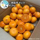 【ふるさと納税】ご家庭用　せとか　約3kg【2025年2月中旬～2025年3月下旬配送】 | みかん ミカン 果物 フルーツ 柑橘 甘い 果肉 果汁 たっぷり 爽やか ジューシー 蜜柑 自宅用 香川県 高松市 濃厚 薄皮