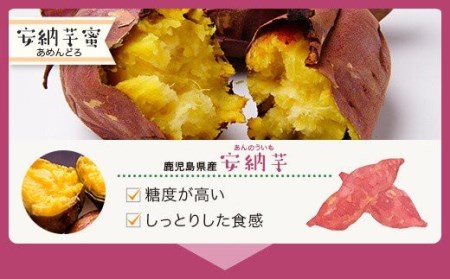 ZS-505 安納芋蜜 フィナンシェ 10本入 ?焼き菓子 安納芋