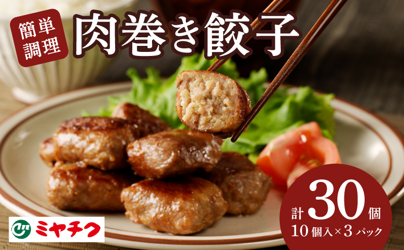 ≪新食感≫肉巻き餃子(計30個) 肉 豚 豚肉 おかず 国産_T030-080