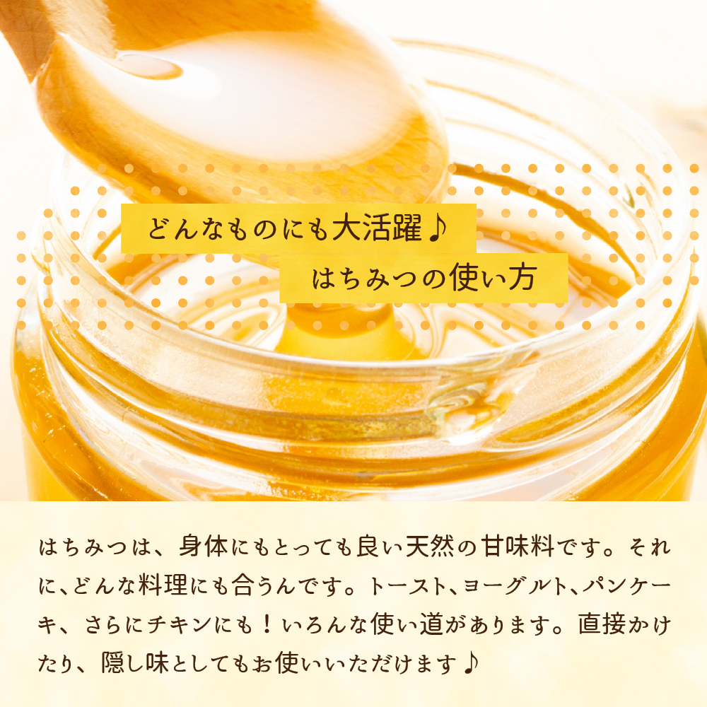 はちみつ 【千代田町の蜂蜜】600g  百花蜂蜜 群馬県 千代田町 ＜田代養蜂場＞