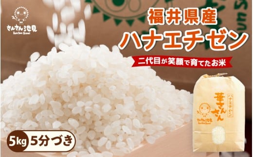 【令和7年産・新米】ハナエチゼン 5kg 華越前 ～坂井市三国町産・こだわりの精米対応～ （5分づき） [A-0255_03]