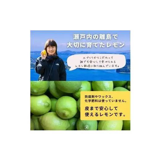 グリーンレモン 約1kg 【2026年 10月 ～ 11月 発送】 先行予約