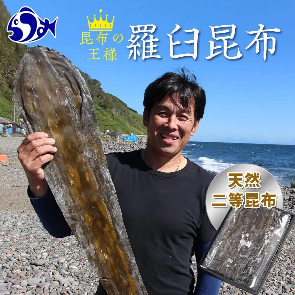 天神さん家の知床羅臼＜天然＞二等昆布（2枚入） ｜ 昆布 北海道