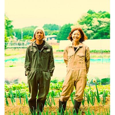 ふるさと納税 原村 季節の野菜セット(Lサイズ) |  | 02