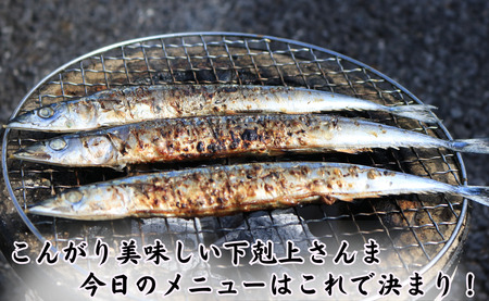 さんま 丸干 40尾 下剋上さんま 冷凍