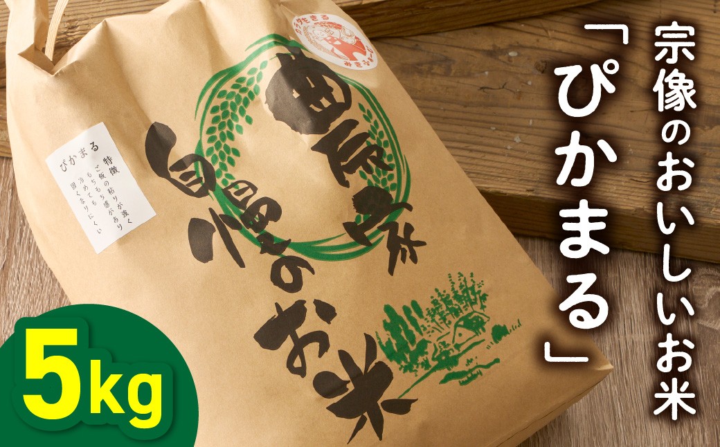 
                  令和7年産！むなかた産 米 ぴかまる 5kg【みきふぁーむ】_AS1543-00
                