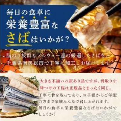 ふるさと納税 南房総市 骨取り塩さば　切身500g(500g×1)脂乗良好【訳あり】　mi0012-0094 |  | 01