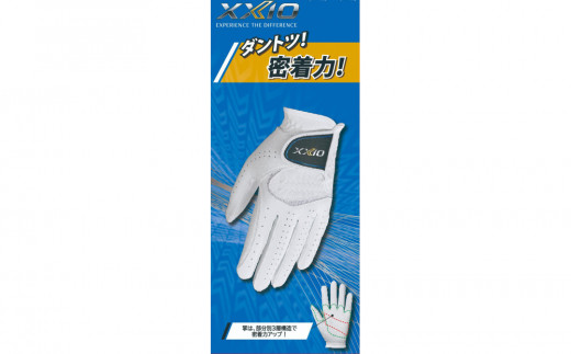 ゼクシオグローブ GGG-X020 ブラック24cm