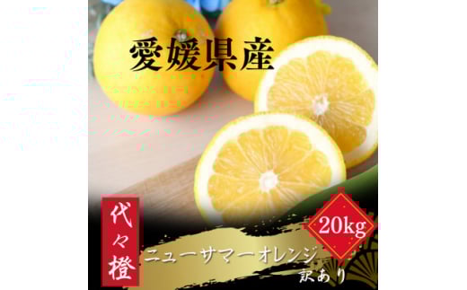 ＜初夏の味＞＜訳あり＞ニューサマーオレンジ 20kg＜H83-31＞【1557500】