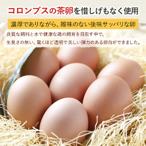 コロンブスの茶卵と四万十ポークを使った四万十キッシュ（冷凍・1個入）／Gbn-A18